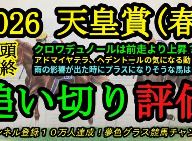 【最終追い切り評価】2026天皇賞春！クロワデュノールは前走以上？ヘデントールやアドマイヤテラの気になる点は？雨が降り重馬場になったら道悪を利せそうなのは？