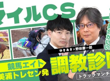 【競馬エイト調教診断】マイルCS（ゆきあき＆野田慶一郎）