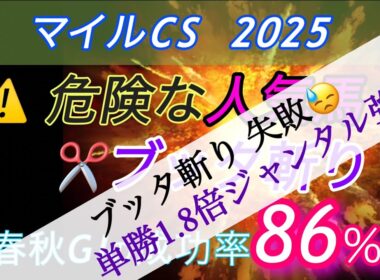 【マイルCS 2025 予想】　⚠️危険な人気馬のブッタ斬り✂️  １人気ジャンタル１着☠️