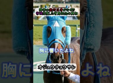 なぜ彼は平地の有馬記念を走ったのか？オジュウチョウサンが明かす、10万人の大歓声と「感謝の真実」#オジュウチョウサン #競馬 #名馬 #ウマ娘