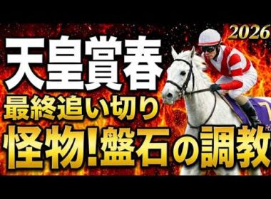 【天皇賞春2026】水曜最終追い切り評価｜有力馬診断｜軍師AI競馬予想｜アドマイヤテラとクロワデュノールの上位陣は？状態が届いてない馬も明確最終段階での序列は見えてきた最終結論とは買う馬と危険馬が確定