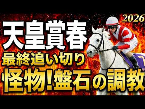 【天皇賞春2026】水曜最終追い切り評価｜有力馬診断｜軍師AI競馬予想｜アドマイヤテラとクロワデュノールの上位陣は？状態が届いてない馬も明確最終段階での序列は見えてきた最終結論とは買う馬と危険馬が確定