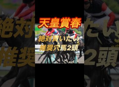 天皇賞春2026 絶対買いたい推奨穴馬2頭紹介