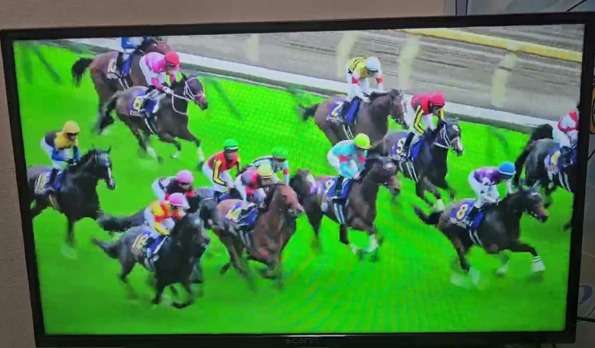 競馬収録放送 第86回優駿牝馬 オークス(GⅠ)