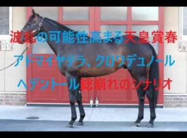 波乱の可能性が高まってきた天皇賞春　アドマイヤテラ　ヘデントール　クロワデュノール総崩れのシナリオ