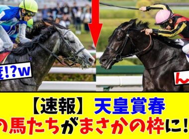【天皇賞春】【速報】2強決着!?あの馬たちがまさかの枠に入ったことでJRAに疑惑が!?www