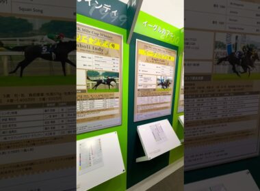 創設30回記念NHKマイルカップ展 2025.5.11 東京競馬場