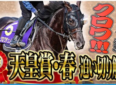 【天皇賞・春2026】「もう文句なし！」クロワ、テラ、ヘデントール…各出走馬の追い切りを東西記者が徹底解説します！《東スポ競馬》