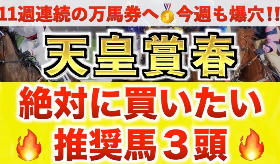 【天皇賞春2026 予想】ホーエリート過去最高のデキ？プロが"全頭診断"から導く絶好の3頭！