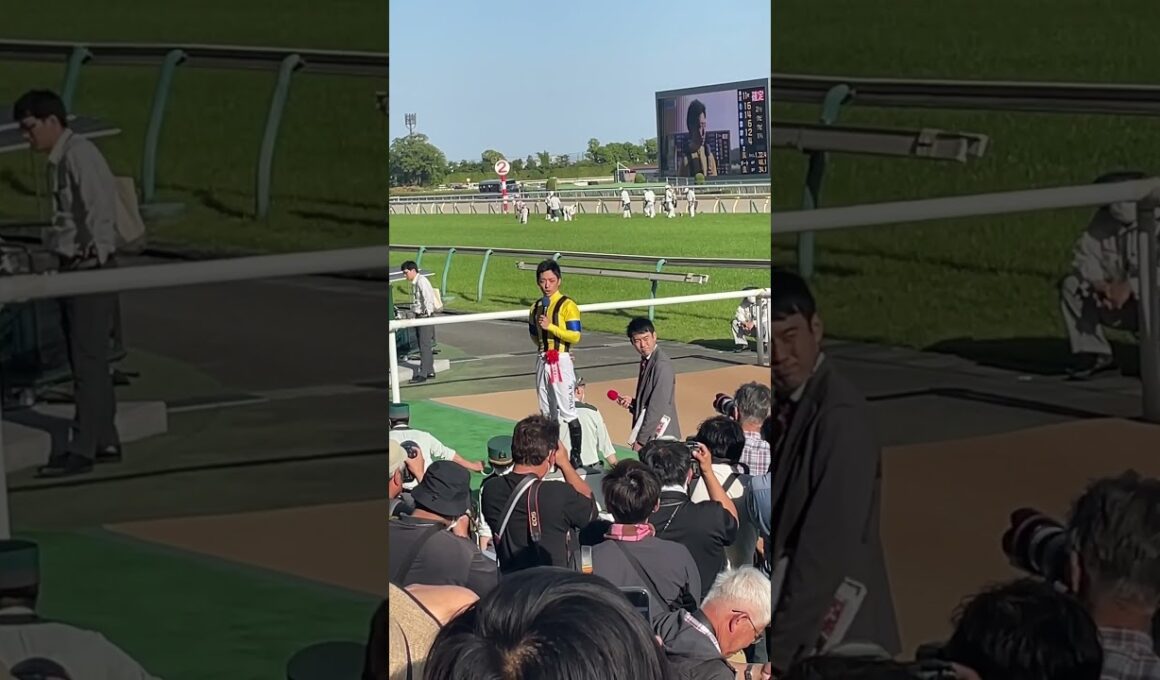 【現地撮影】NHKマイルカップ(2024)ジャンタルマンタル号川田将雅騎手 勝利ジョッキーインタビュー③ #競馬 #NHKマイルカップ #川田将雅