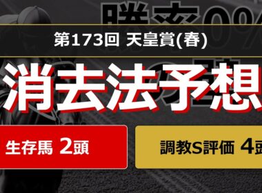 【競馬データ予想】天皇賞(春)2026。危険な人気馬は消し！？鉄板データで残った推奨馬と調教S評価馬を公開！ #消去法 #データ分析 #競馬予想 #競馬データ #天皇賞(春)