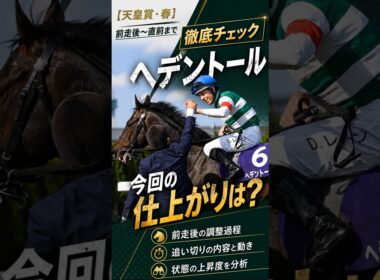 【天皇賞・春】ヘデントール 今回の仕上がりは？前走後〜直前まで徹底チェック #ヘデントール  #天皇賞春 #競馬予想  #shorts