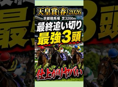 天皇賞春2026｜調教だけで選ぶとこの3頭…
