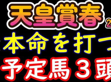 【天皇賞春2026本命候補3頭】最終的に残った3頭。人気馬が消える理由を全て話します
