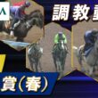 【調教動画】2026年 天皇賞(春)｜JRA公式
