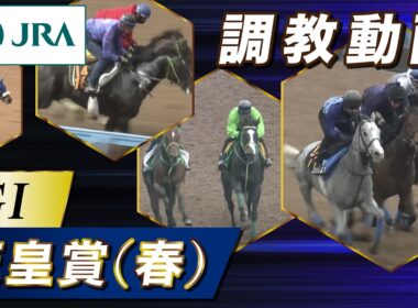 【調教動画】2026年 天皇賞(春)｜JRA公式