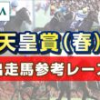 【参考レース】2026年 天皇賞(春)｜JRA公式