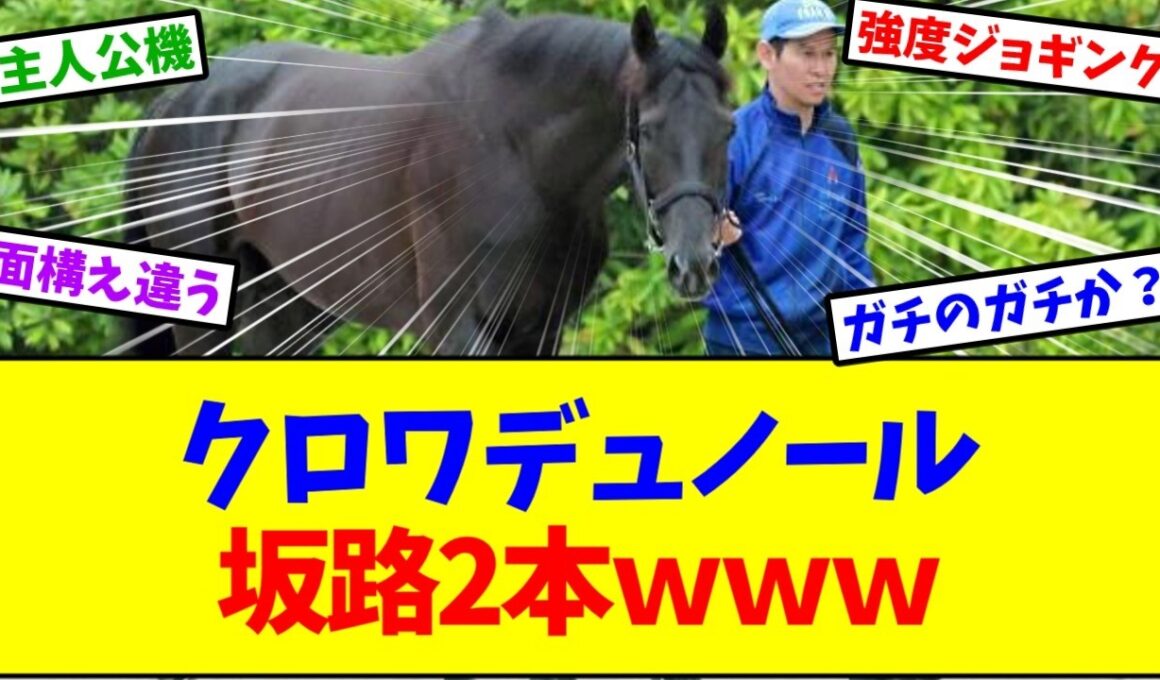 【天皇賞春2026】クロワデュノール 坂路2本ｗｗｗ【競馬】