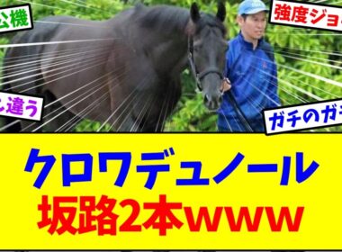 【天皇賞春2026】クロワデュノール 坂路2本ｗｗｗ【競馬】