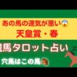 天皇賞・春…人気馬に“負けの流れ”👀⚠️大阪杯・桜花賞・皐月賞3連続大的中‼️【アドマイヤテラの運気は？！🐴競馬タロット占い🔮】