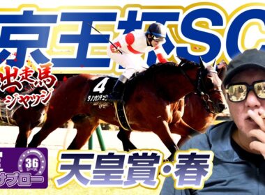 【2026 天皇賞・春】【2026 京王杯SC】出走馬ジャッジ