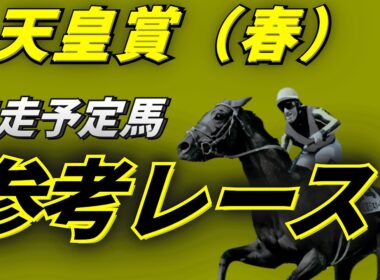 【天皇賞春2026】参考レース