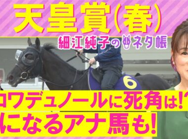 「終いの脚は良いものを持っている！」クロワデュノール、アドマイヤテラ、ヘデントール・・・天皇賞(春)ＧⅠを元ジョッキーの細江さんが徹底解説！＜細江純子のネタ帳＞