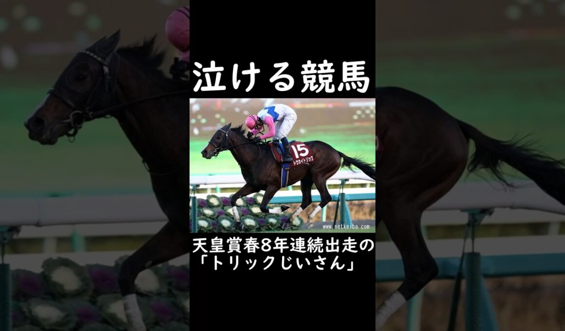 【泣ける競馬】天皇賞春8年連続出走の「トリックじいさん」【ゆっくり解説】#shorts #競馬 #天皇賞春