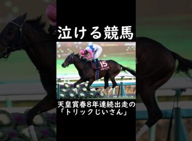 【泣ける競馬】天皇賞春8年連続出走の「トリックじいさん」【ゆっくり解説】#shorts #競馬 #天皇賞春