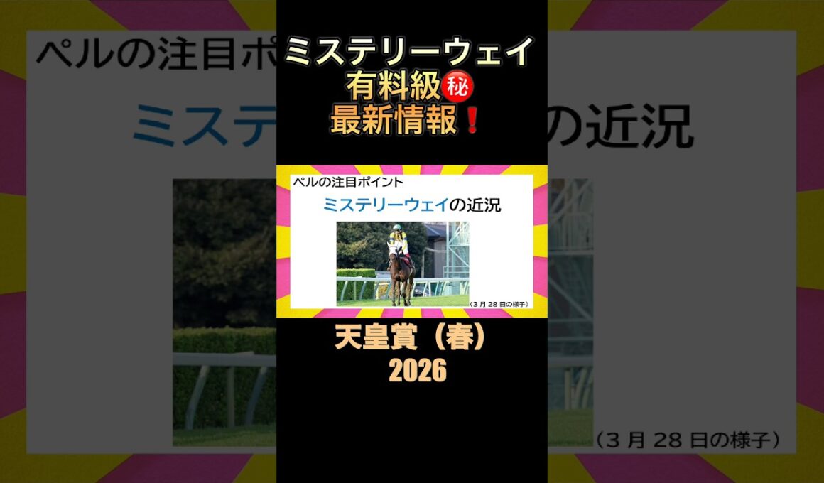 ミステリーウェイの有料級情報‼️#shorts #天皇賞春2026 #競馬予想 #ミステリーウェイ