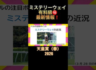 ミステリーウェイの有料級情報‼️#shorts #天皇賞春2026 #競馬予想 #ミステリーウェイ