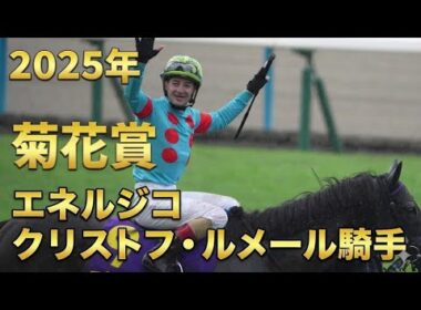エネルジコのウイニングラン&口取り式 2025年菊花賞