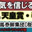 【天皇賞春2026予想】エルコンドル氏が断言！クロワデュノールは危険？最後に買うべき本命馬を公開