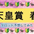 【天皇賞・春】秋はルメールに泣いたけど、春はルメールと喜びたい！武さんは良いけど、テラは…【タロット競馬予想】