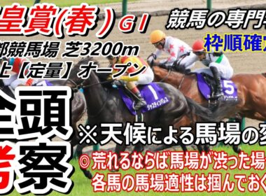 【天皇賞春2026】全頭考察 良馬場ならば力通り もし荒れるならばやはり雨による影響で渋った馬場の場合