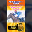 【天皇賞(春)2026】 俺の本命はコイツだ！ #競馬  #競馬予想 #天皇賞春  #shorts