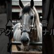 天皇賞・春最終予想！注目馬はどれ？