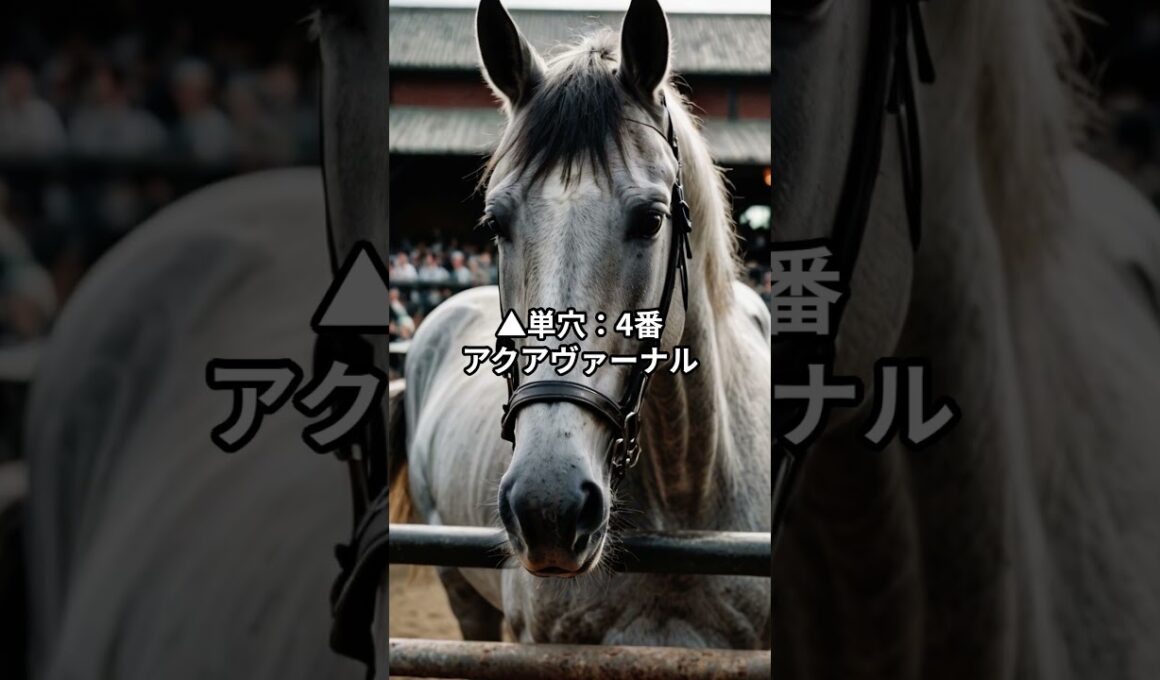 天皇賞・春最終予想！注目馬はどれ？