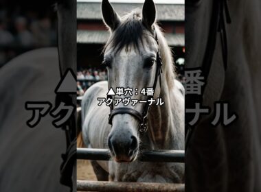 天皇賞・春最終予想！注目馬はどれ？