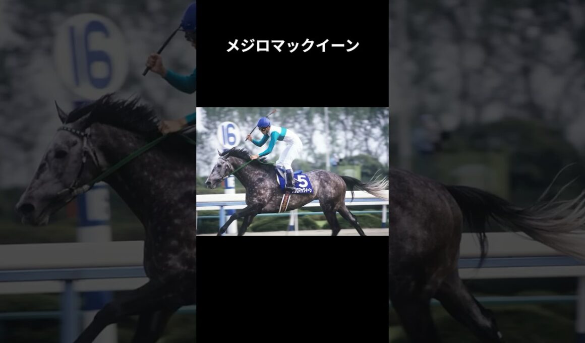 【天皇賞(春)】91年・92年優勝馬メジロマックイーンを3分で復習 #メジロマックイーン #トウカイテイオー #天皇賞 #武豊 #競馬 #shorts #ウマ娘 #四国めたん