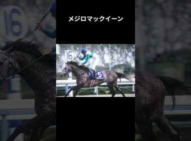 【天皇賞(春)】91年・92年優勝馬メジロマックイーンを3分で復習 #メジロマックイーン #トウカイテイオー #天皇賞 #武豊 #競馬 #shorts #ウマ娘 #四国めたん
