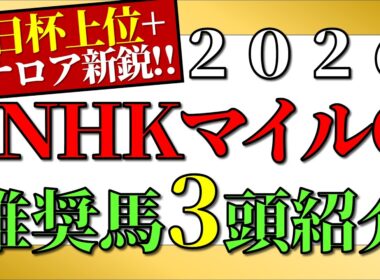 【NHKマイルカップ2026予想】推奨馬3頭+α紹介
