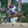 【佐賀競馬】第14回 佐賀皐月賞（2026.5.3）