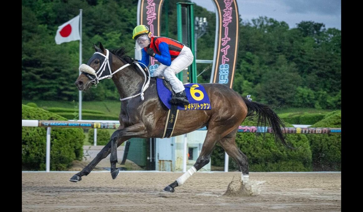 【佐賀競馬】第14回 佐賀皐月賞（2026.5.3）