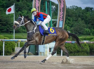 【佐賀競馬】第14回 佐賀皐月賞（2026.5.3）