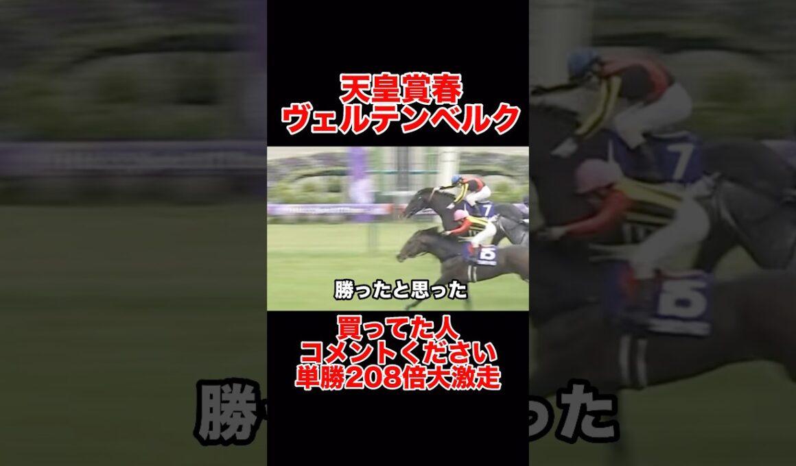 【天皇賞•春】ヴェルテンベルクがヤバすぎた#天皇賞春#天皇賞春2026#競馬#競馬好きと繋がりたい#競馬予想#ヴェルテンベルク#クロワデュノール#京都競馬場