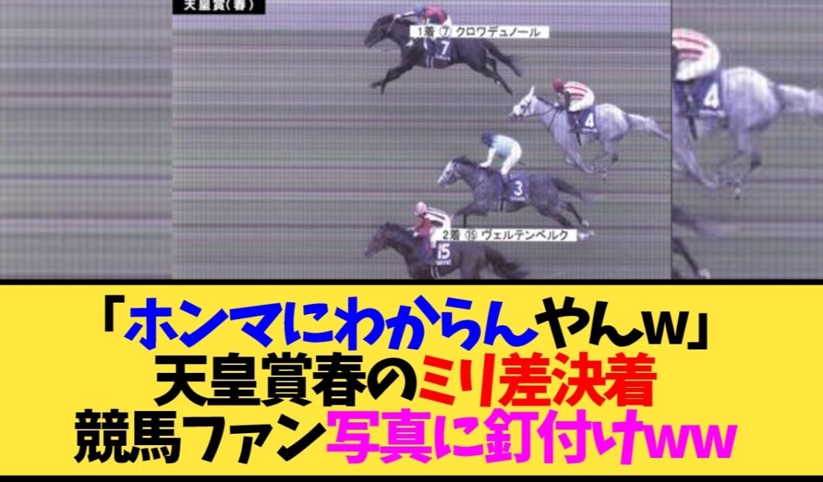 【天皇賞春2026】クロワデュノール、決勝写真をガチ凝視した結果…ヴェルテンベルクとの差がヤバすぎる←これ【競馬】