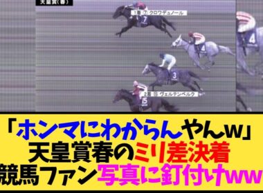 【天皇賞春2026】クロワデュノール、決勝写真をガチ凝視した結果…ヴェルテンベルクとの差がヤバすぎる←これ【競馬】