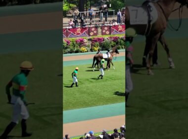 桜花賞、皐月賞を制した松山弘平騎手