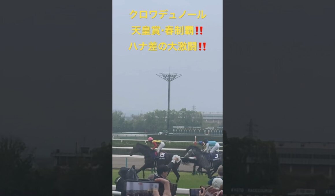 【競馬現地映像】クロワデュノール天皇賞・春制覇‼️ハナ差の大激闘を制す‼️2026.5.3